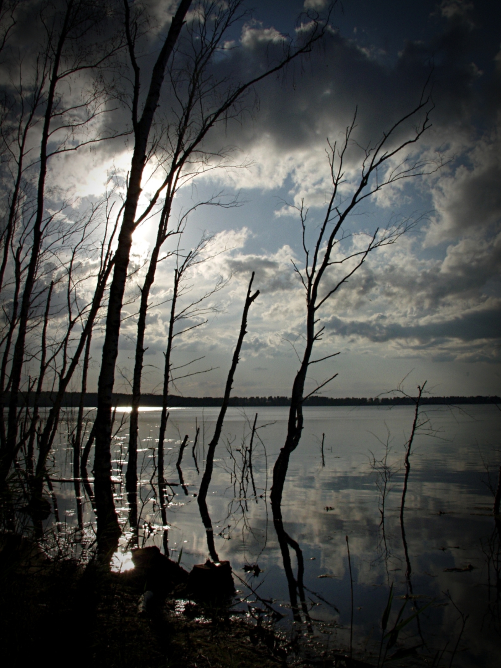 Шом һала күңелгә был ҡараңғылыҡ...