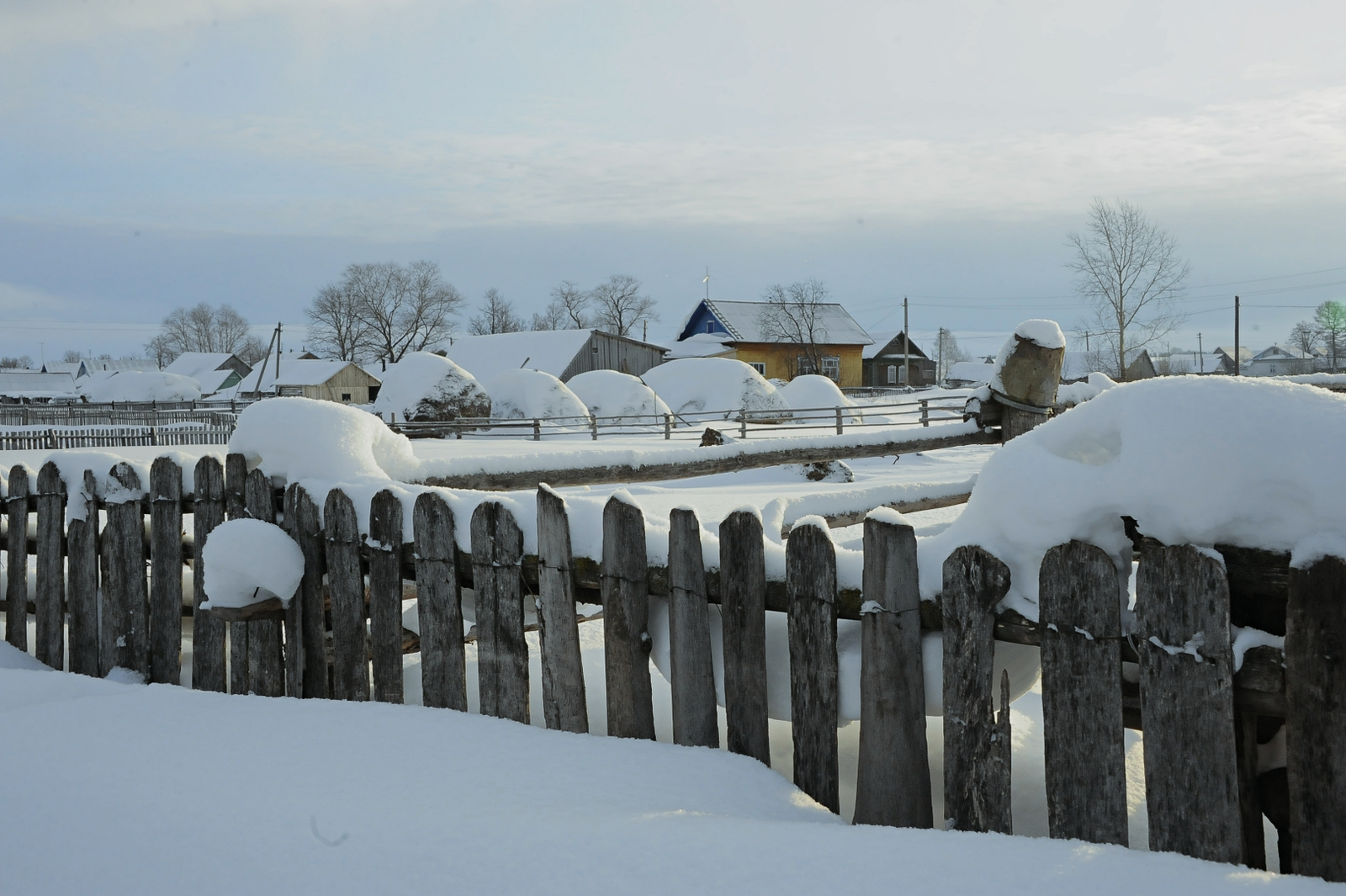 Ғинуарҙың һуңғы көнө...