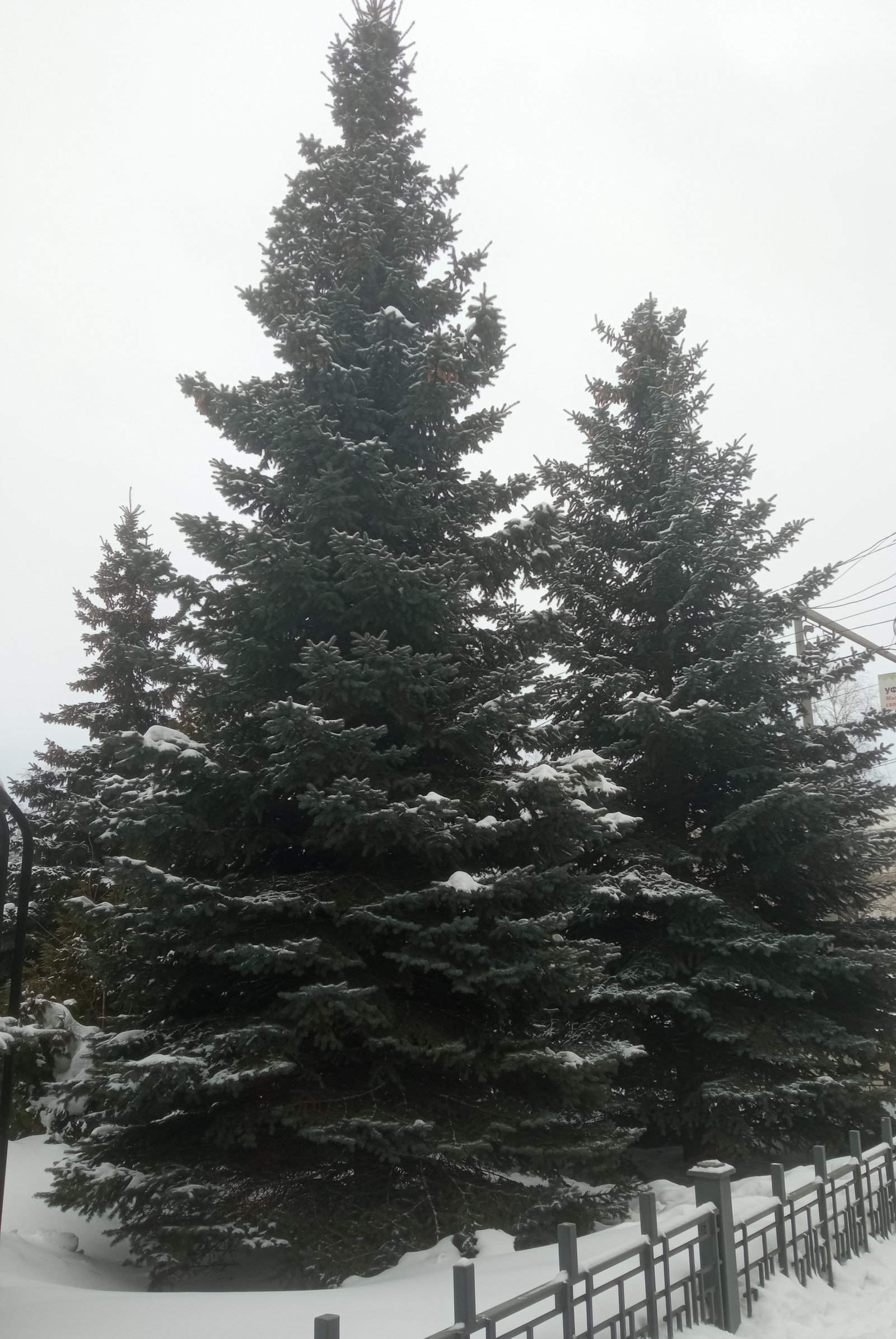 Хәйерле иртә!