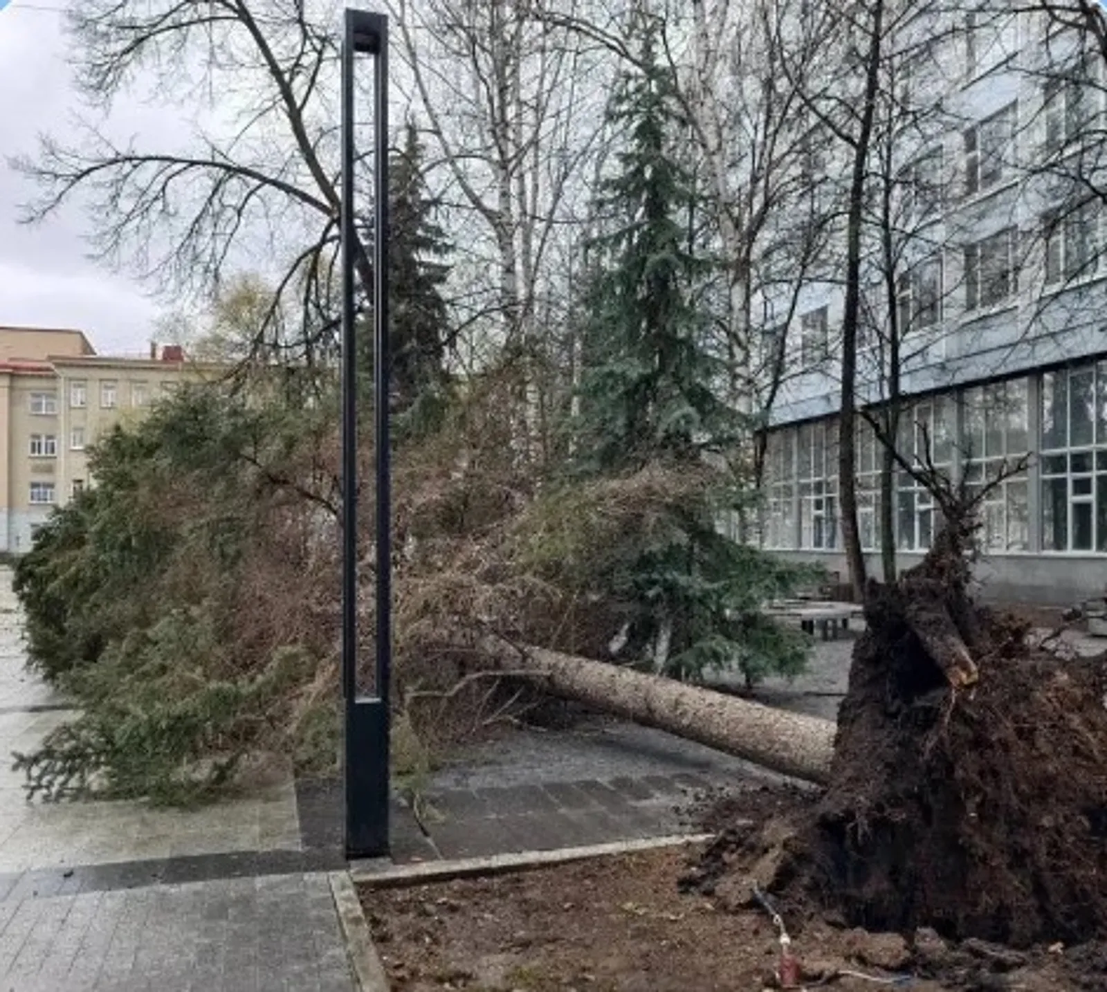 Ел шашҡан бөгөн Өфөлә!