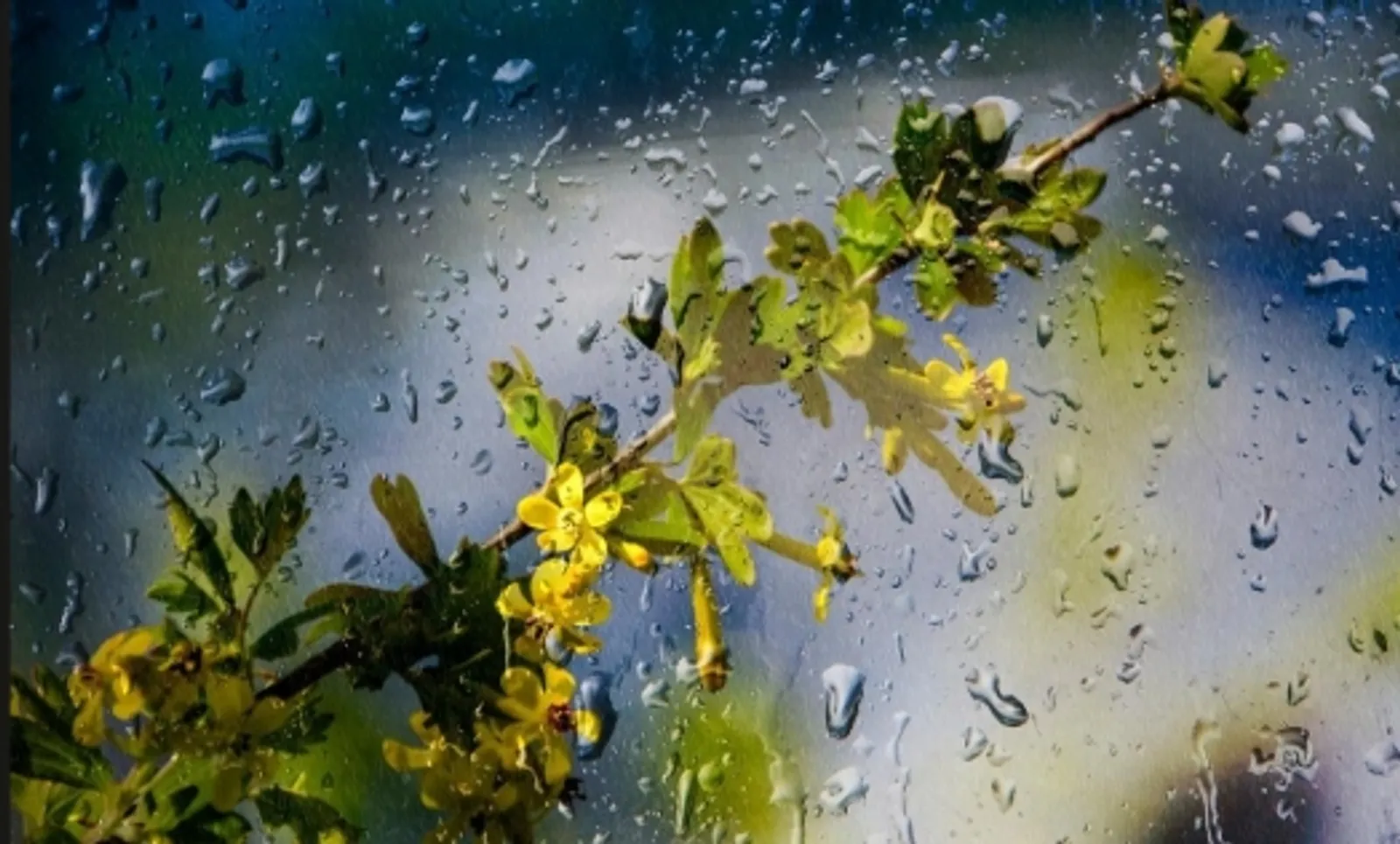 Башҡортостанға ямғырҙар килә