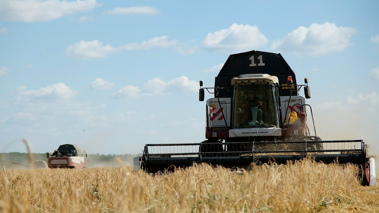 Йыллыҡ бурыс ябай һәм аңлайышлы