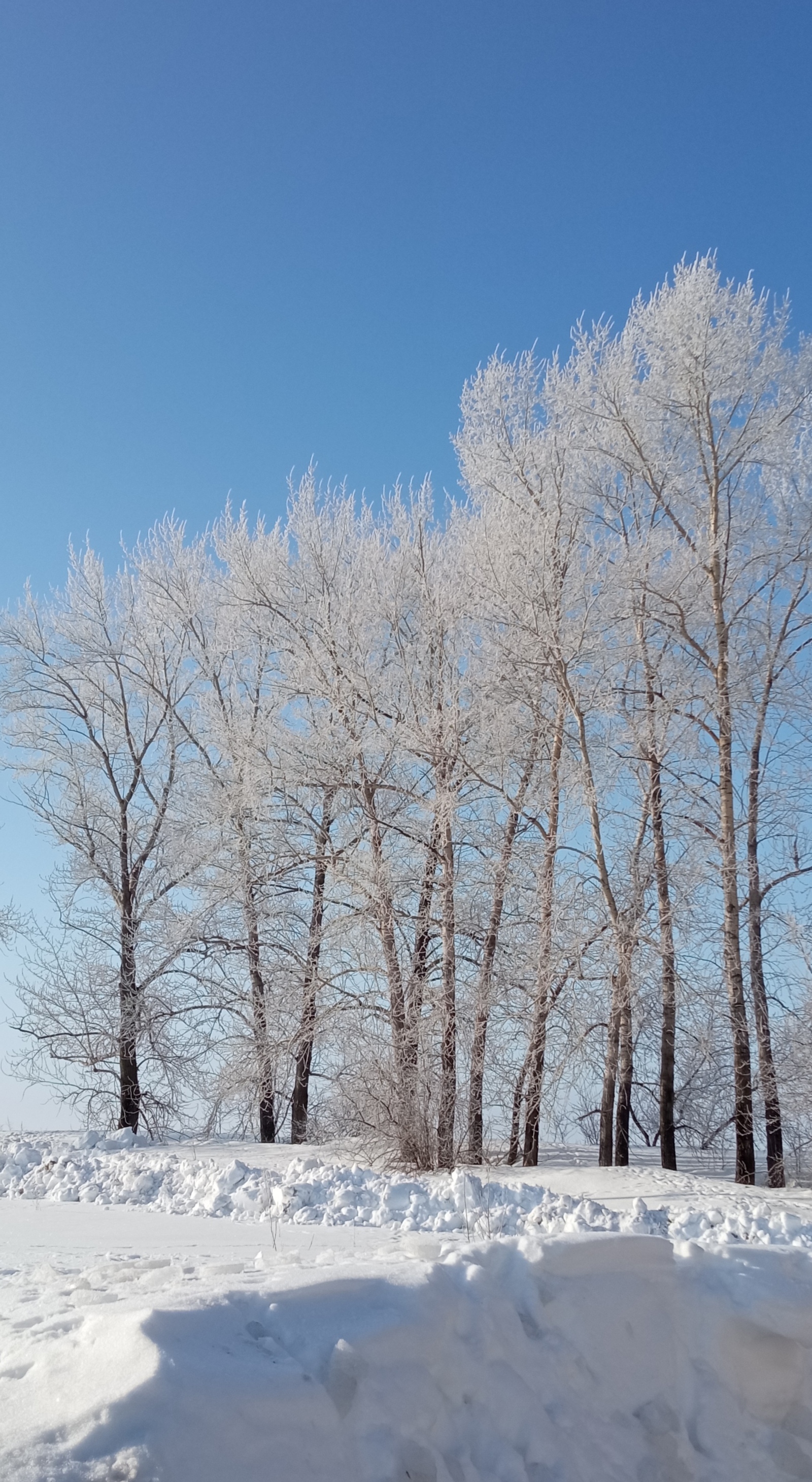 15 февралдә көндөҙ епшек булһа...