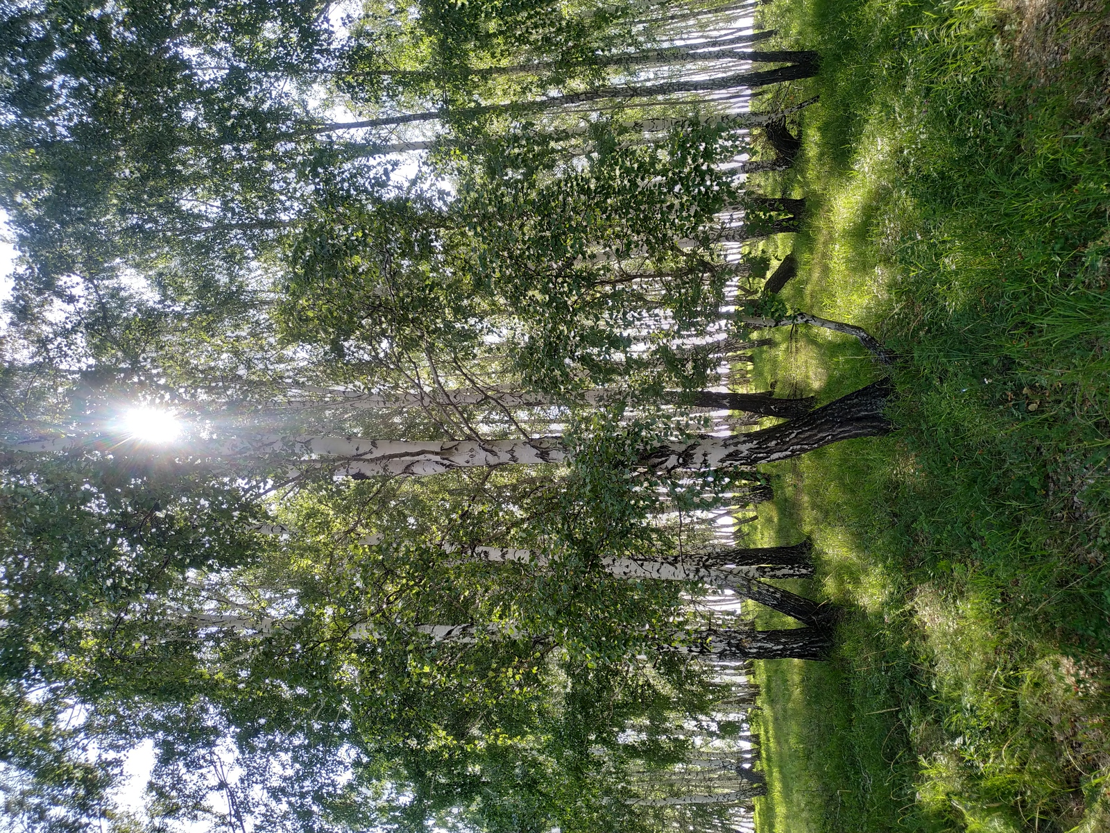 Зәңгәр томандар артында...