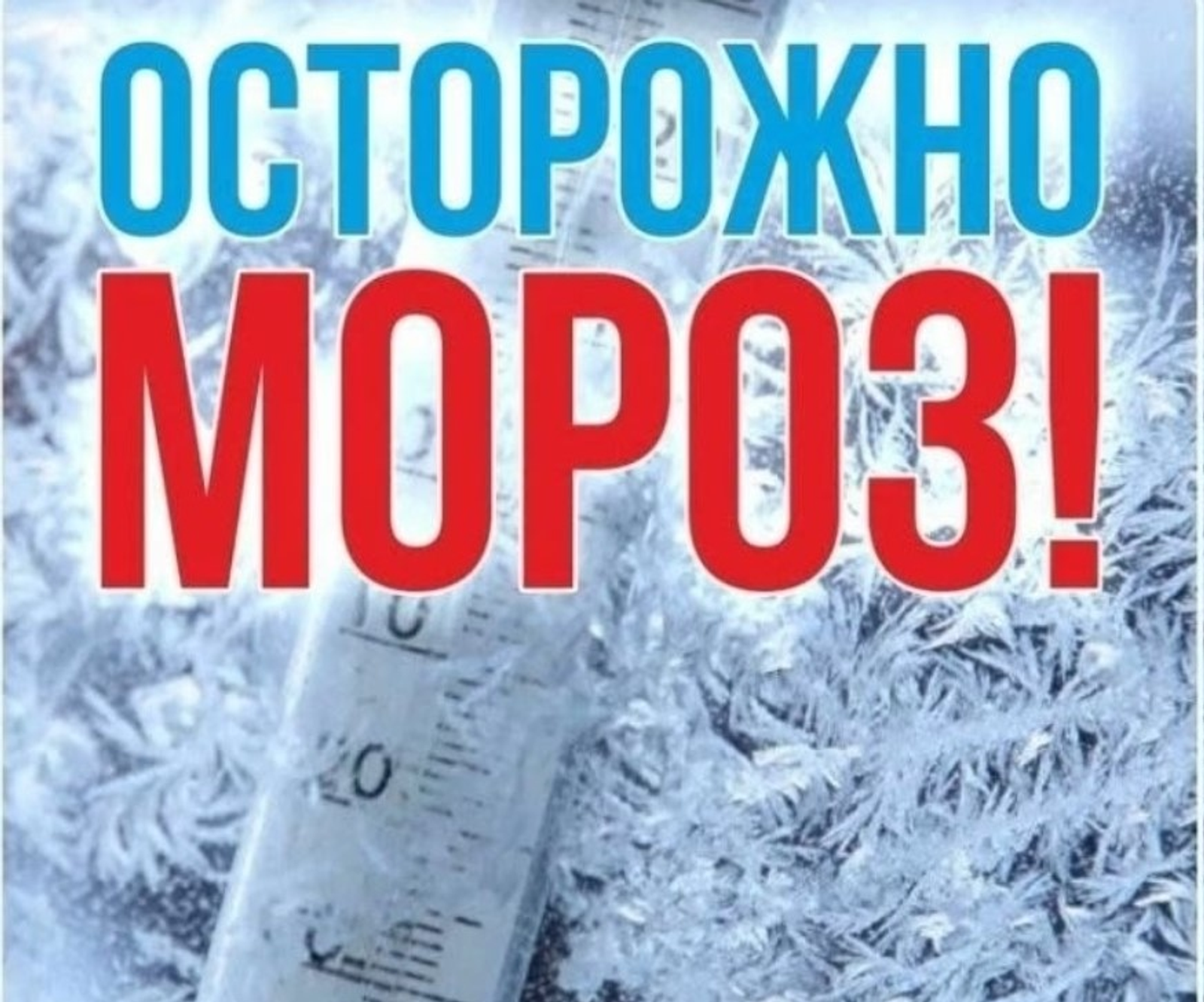 Водителдәр иғтибарына