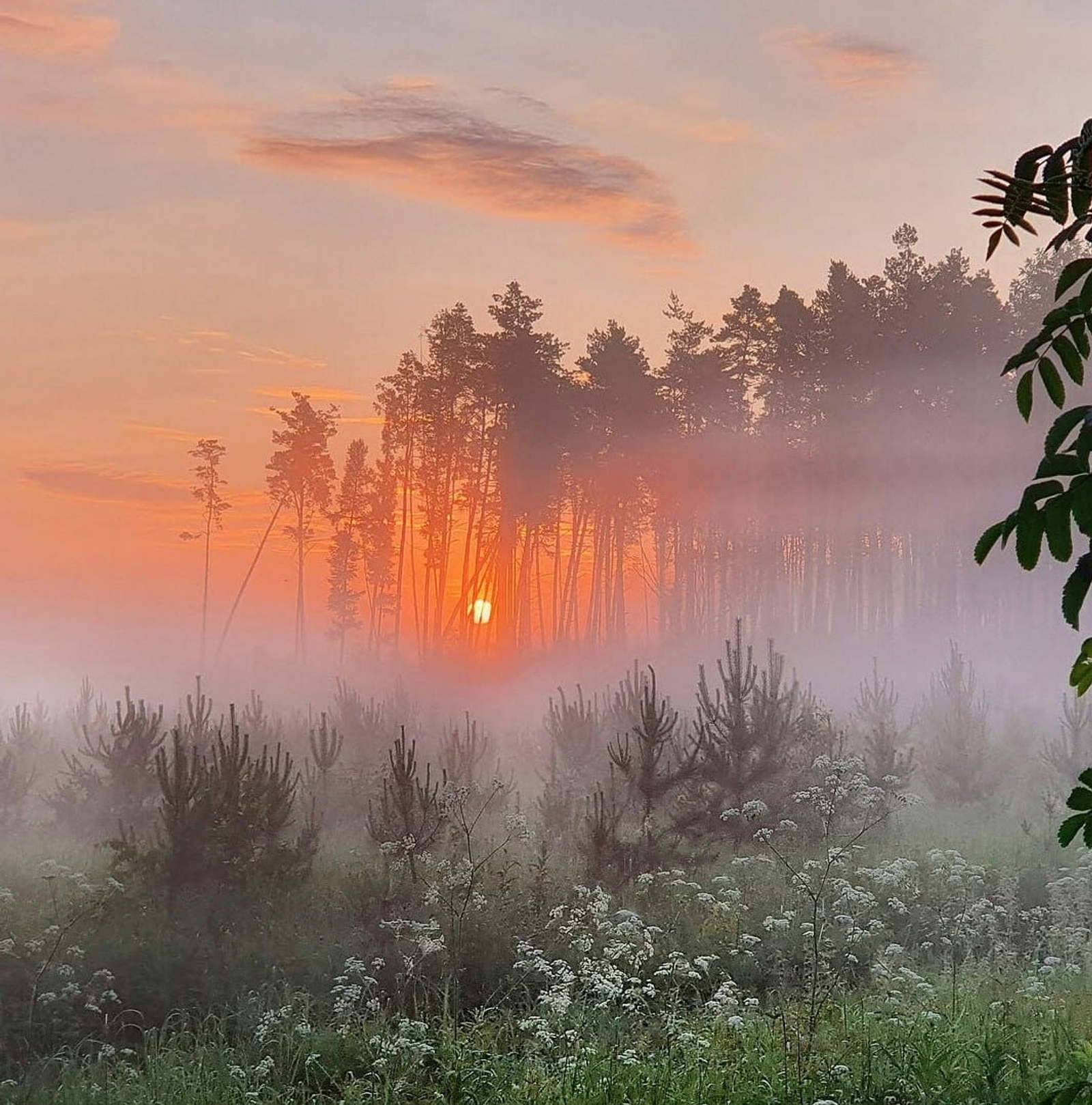 Бер нәмә лә бушҡа килмәй