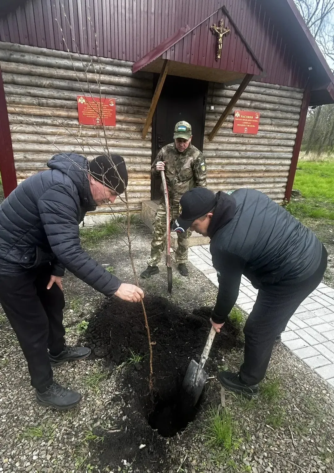 Ағастар хәтерләтер...