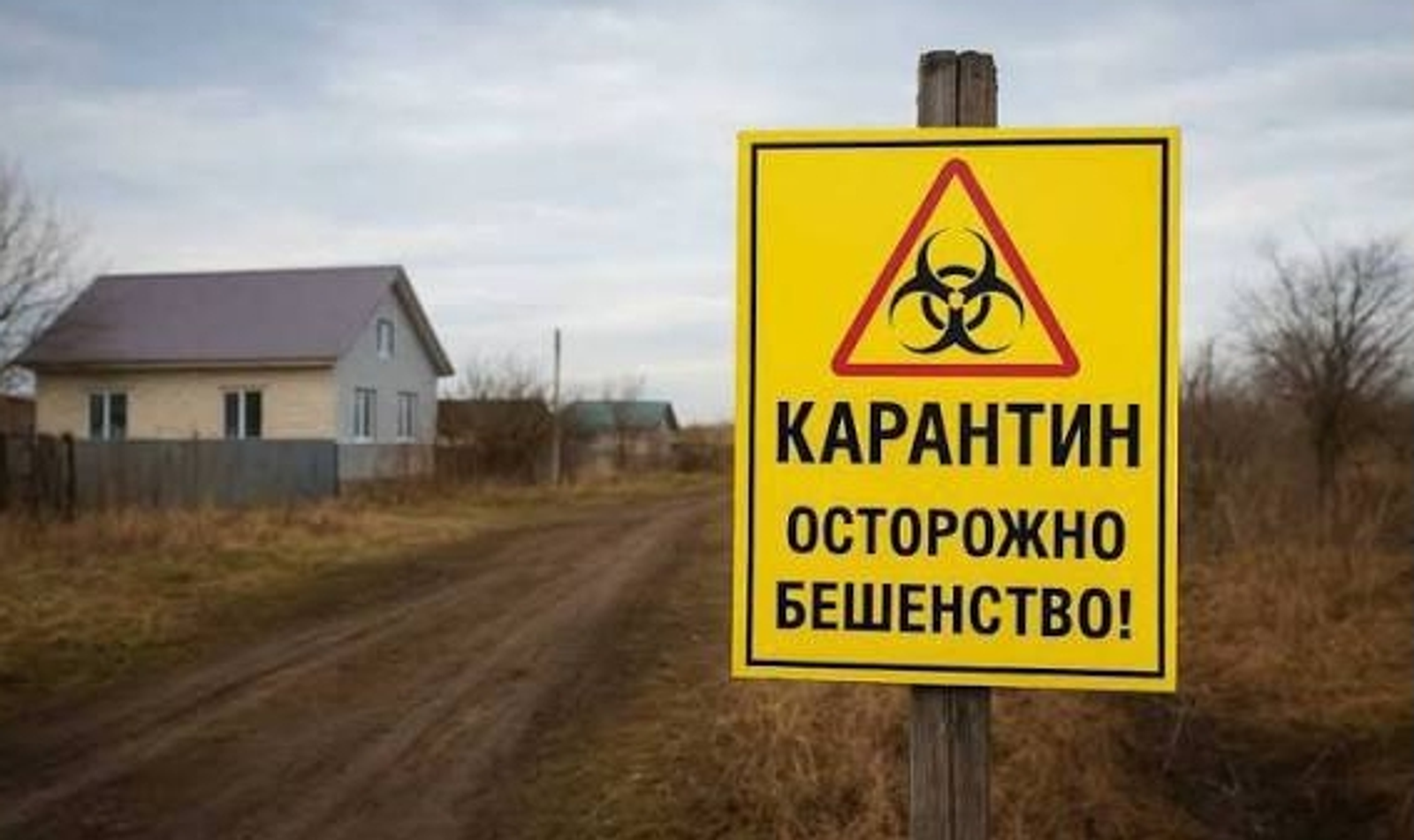 Ҡурҡыныс сир таралған!