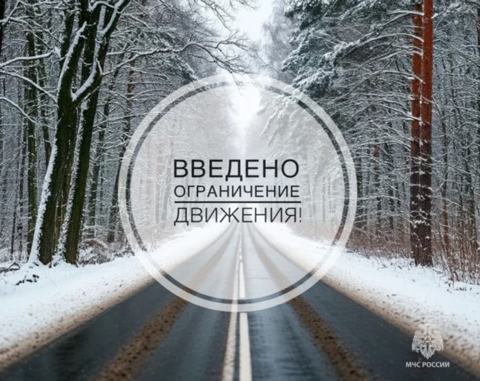 Водителдәр иғтибарына!