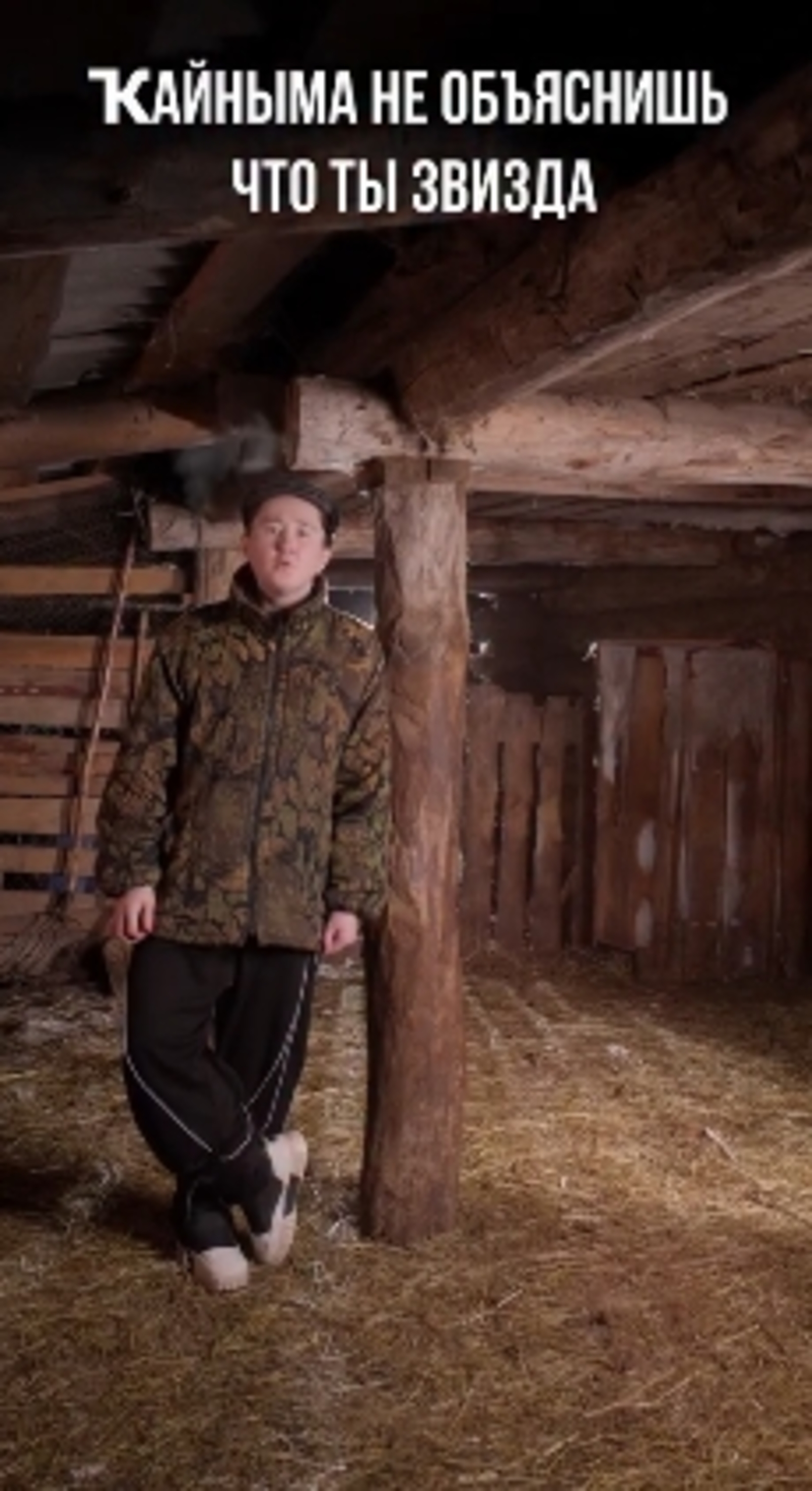 Арыҫлан Тимеровты ҡайныһы һелкеткән