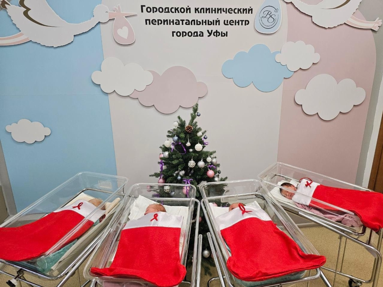 Яңы йыл төнөндә  тыуған сабыйҙар билдәле булды