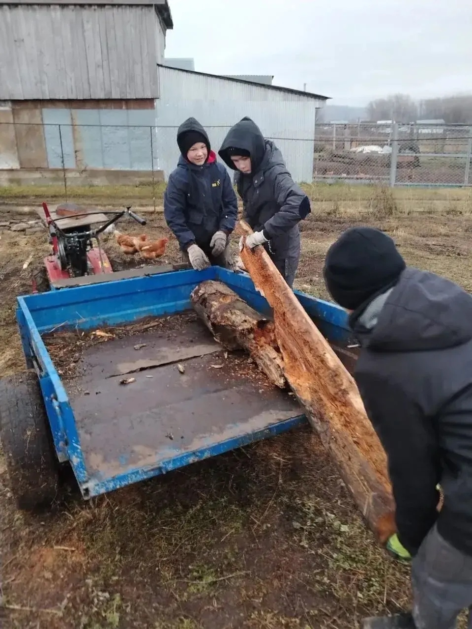 Зәйнәп апайҙы һөйөндөргәндәр