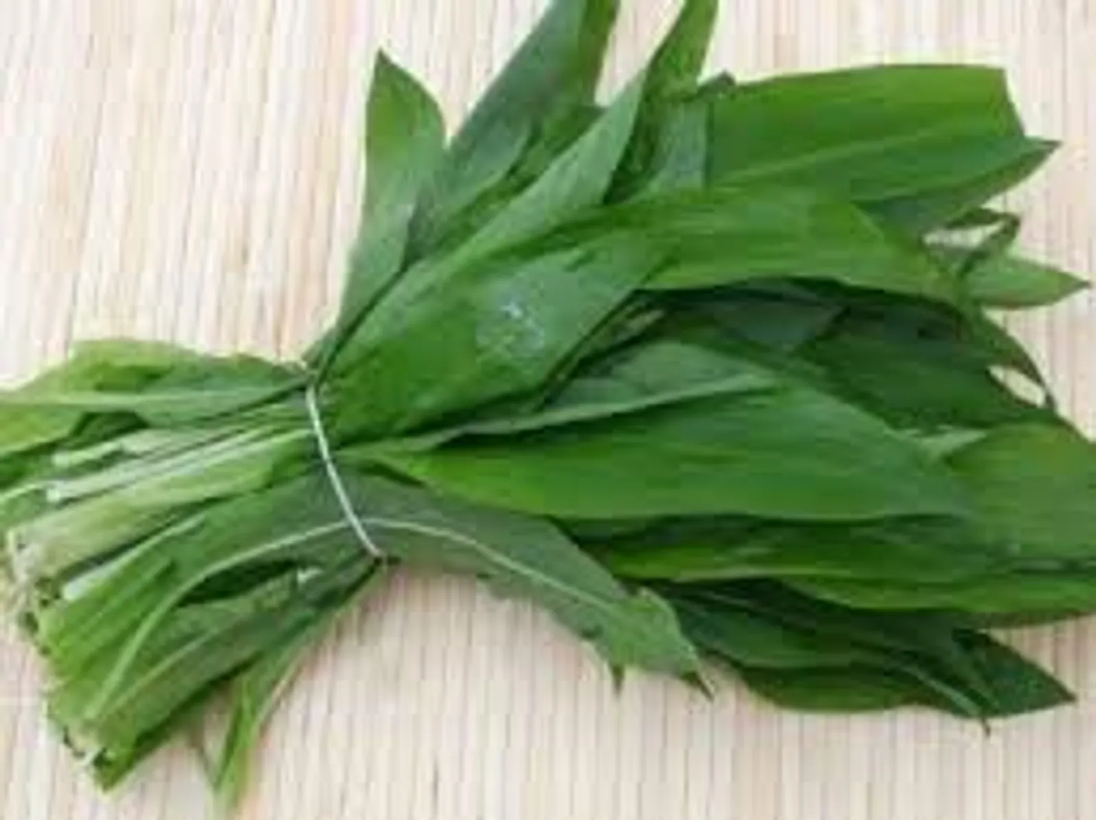 Урман йыуаһымы, әллә...