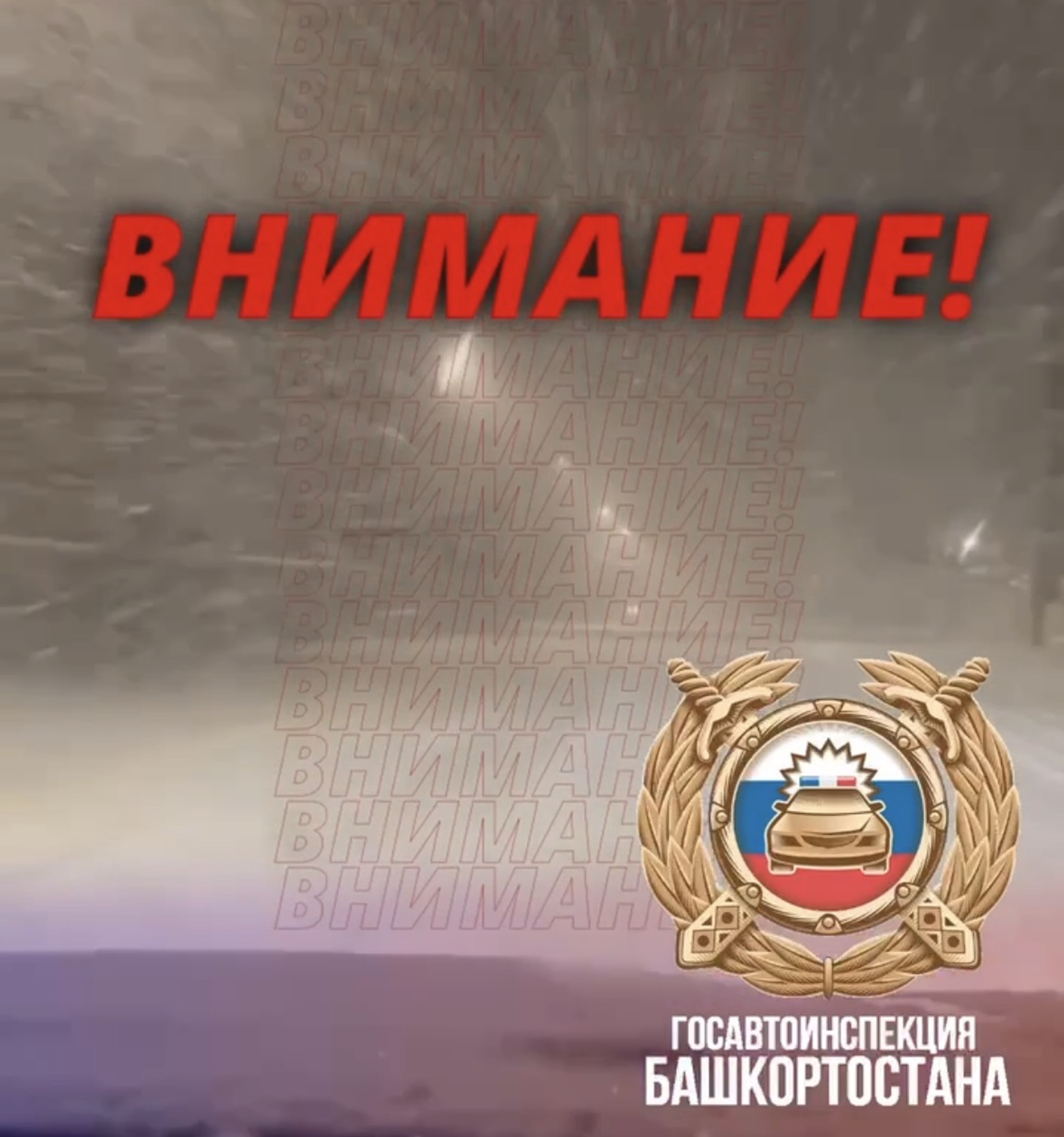 Водителдәр иғтибарына!