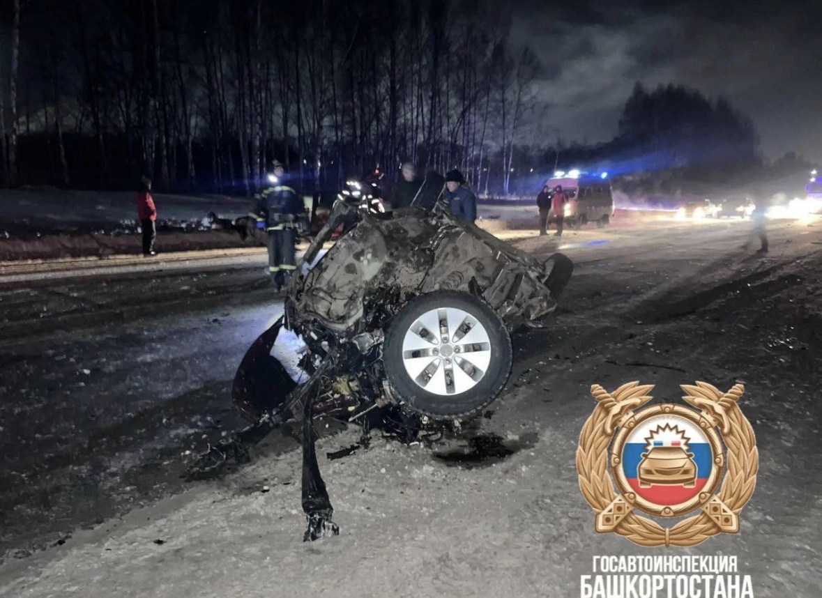 Ҡот осҡос фажиғә!