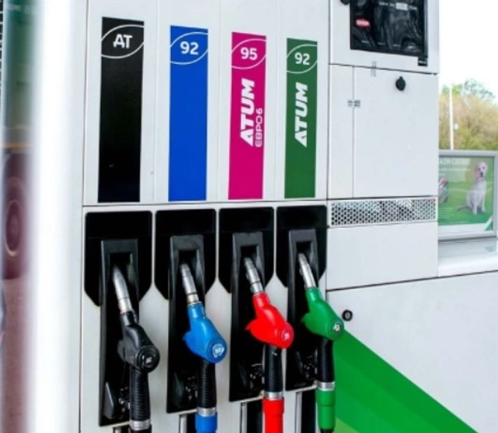 "Һөйөнсө!" Бензинға хаҡ артҡан!