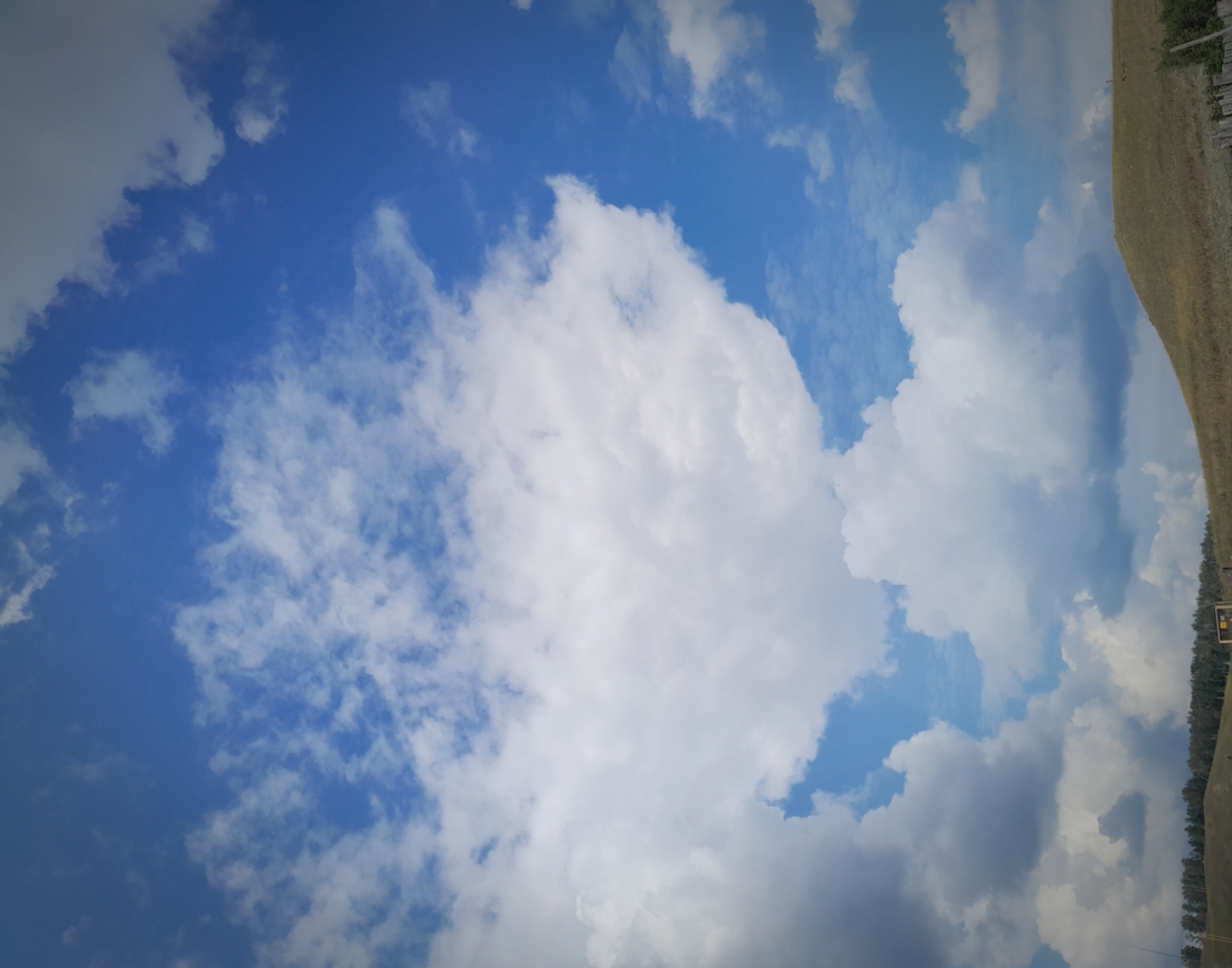 Аҡ болоттар