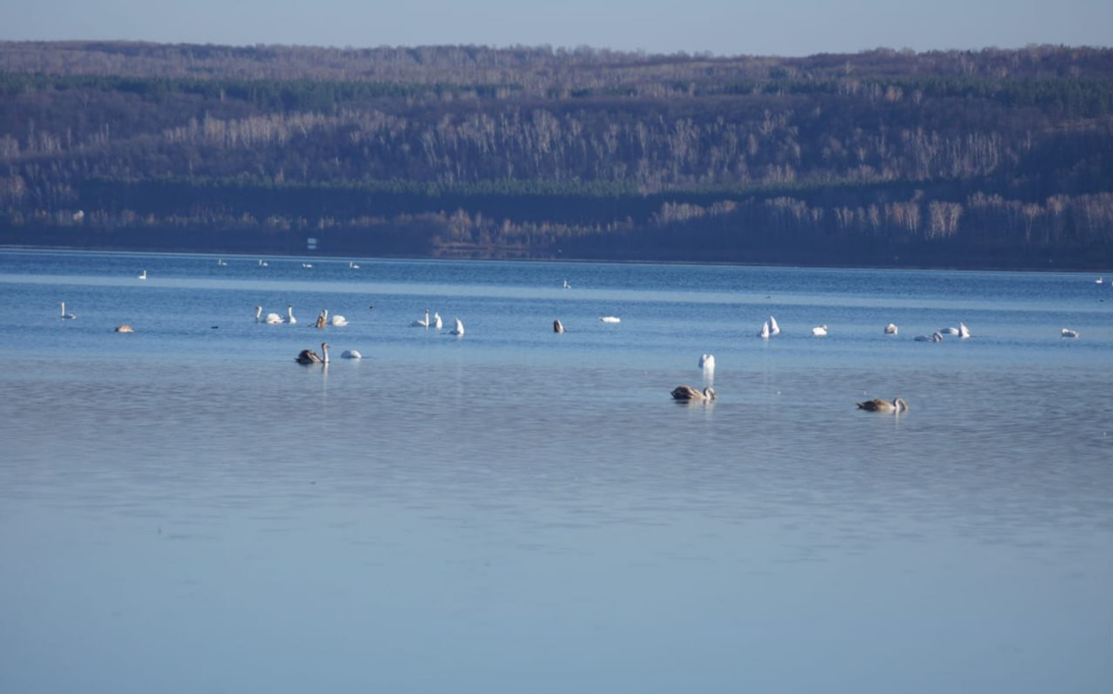 Иҫ киткес күренеш!