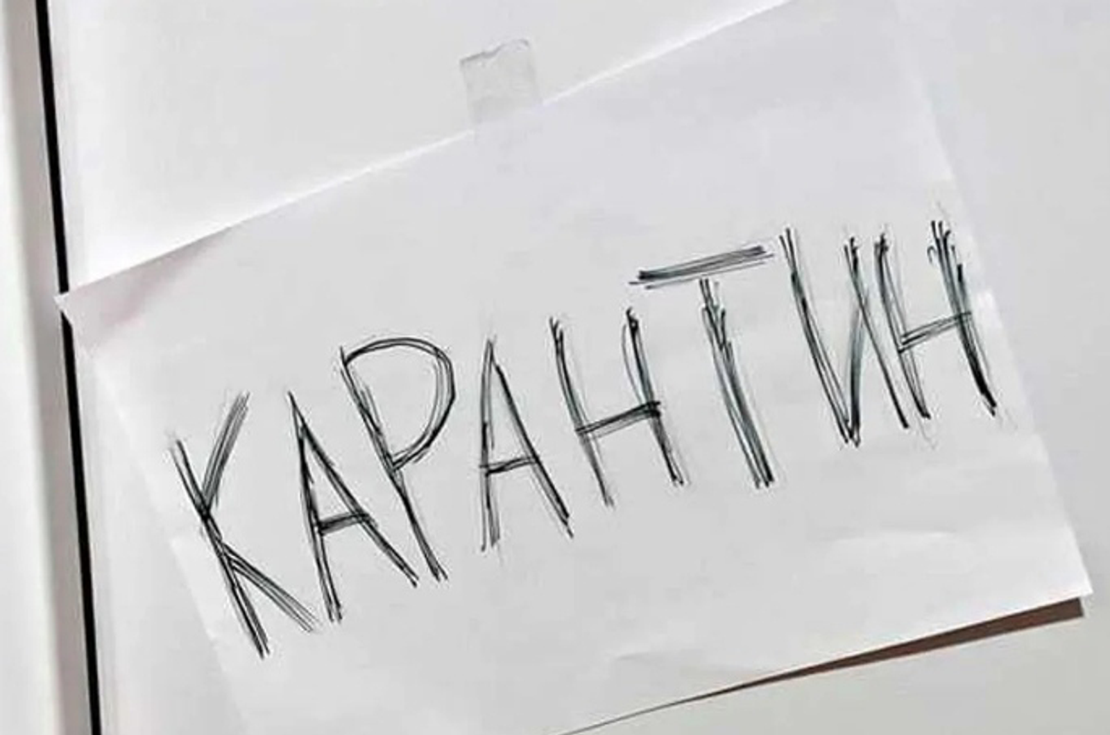 Баймаҡ районында үлемесле сир таралған