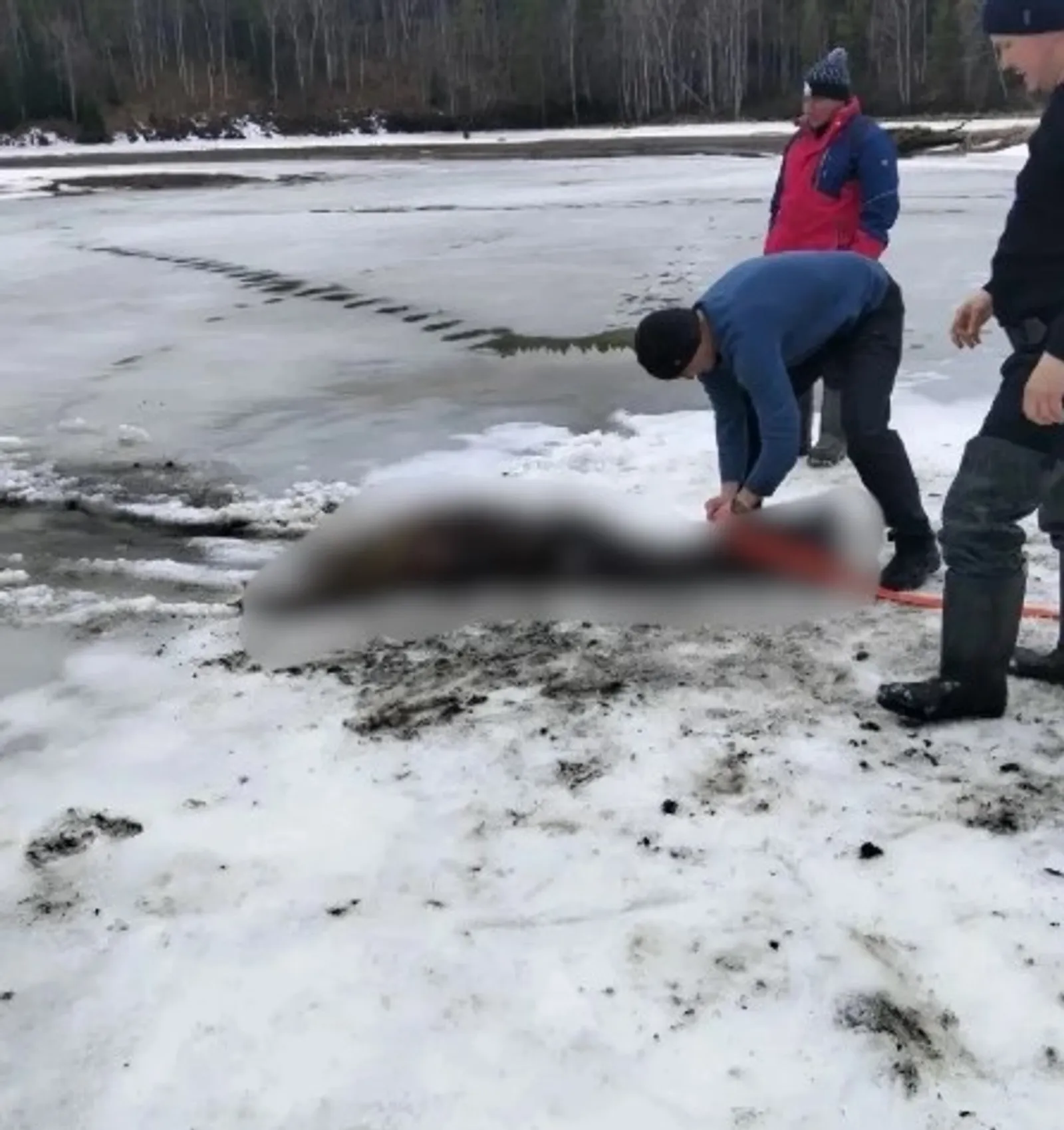 Батып үлгәнме?!