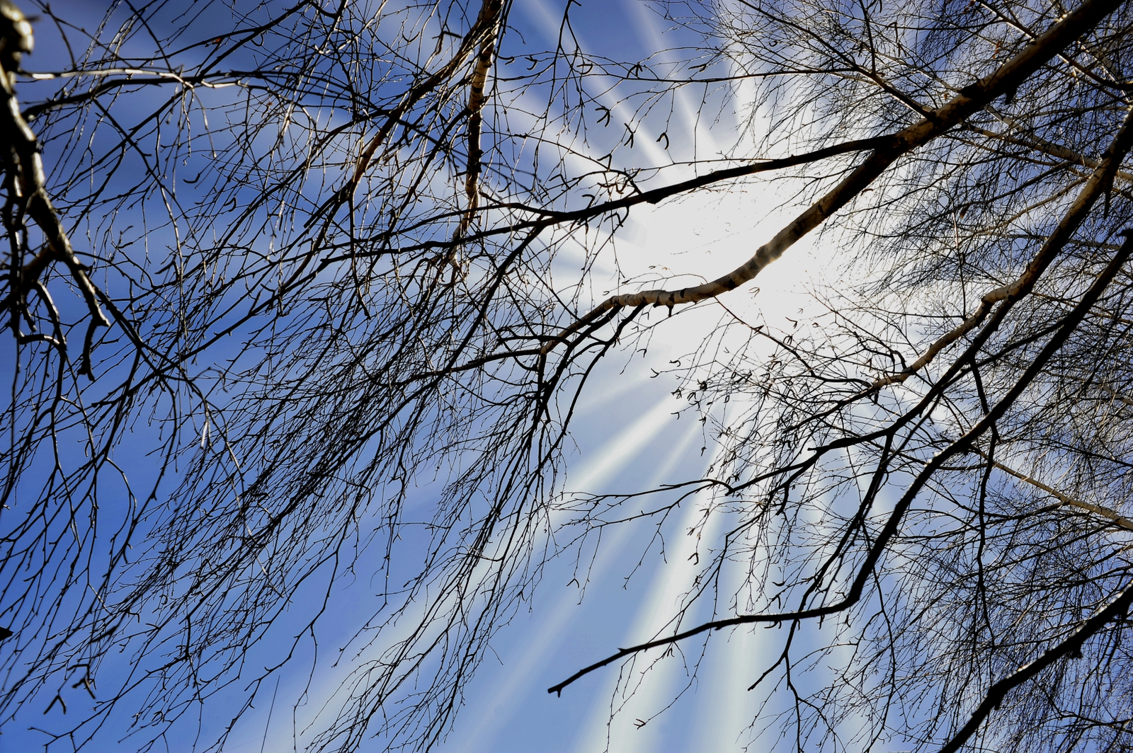 Ооо, ҡояш сыҡты !