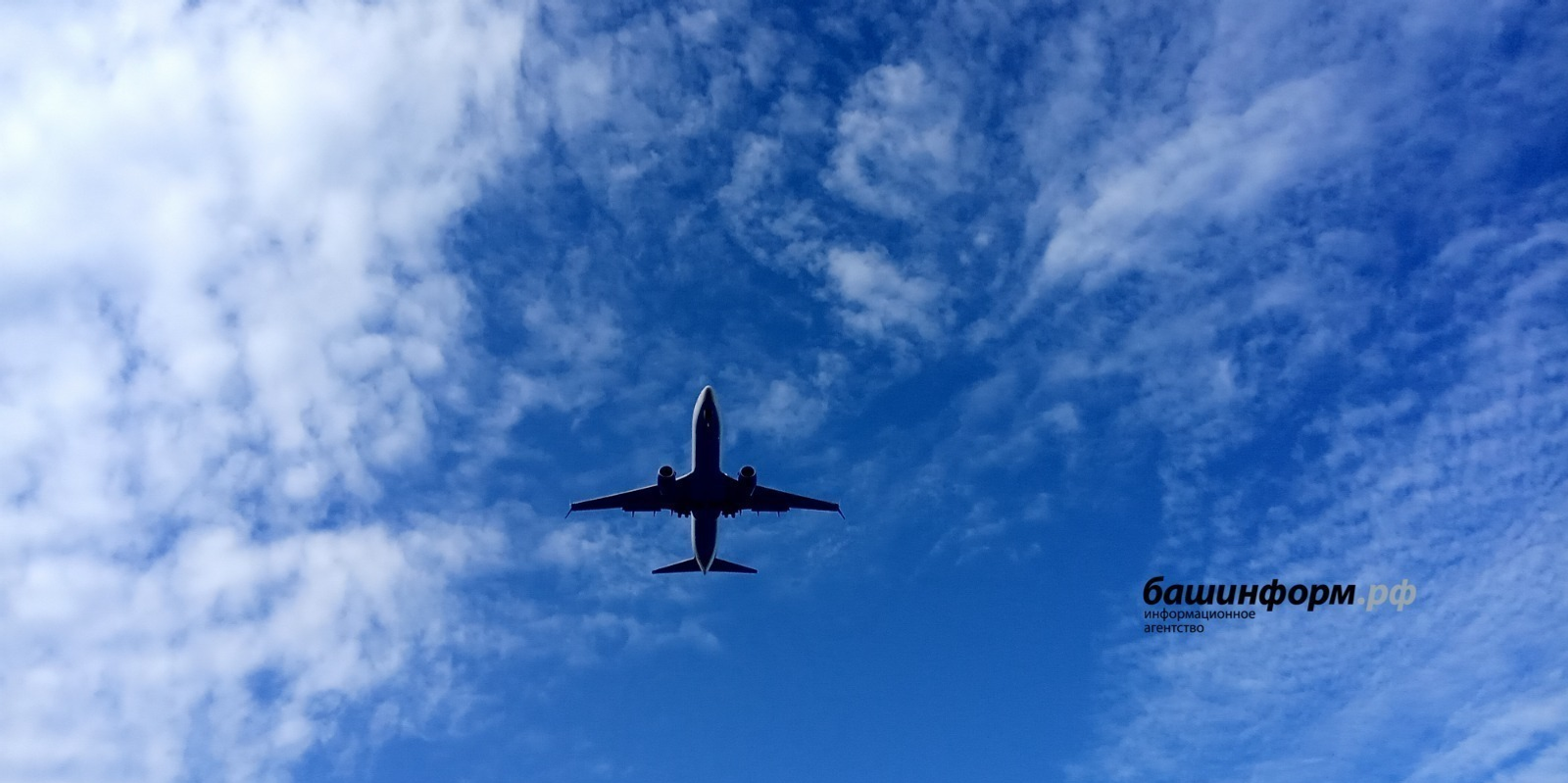 7 меңдән ашыу кешене алып ҡайтасаҡтар!