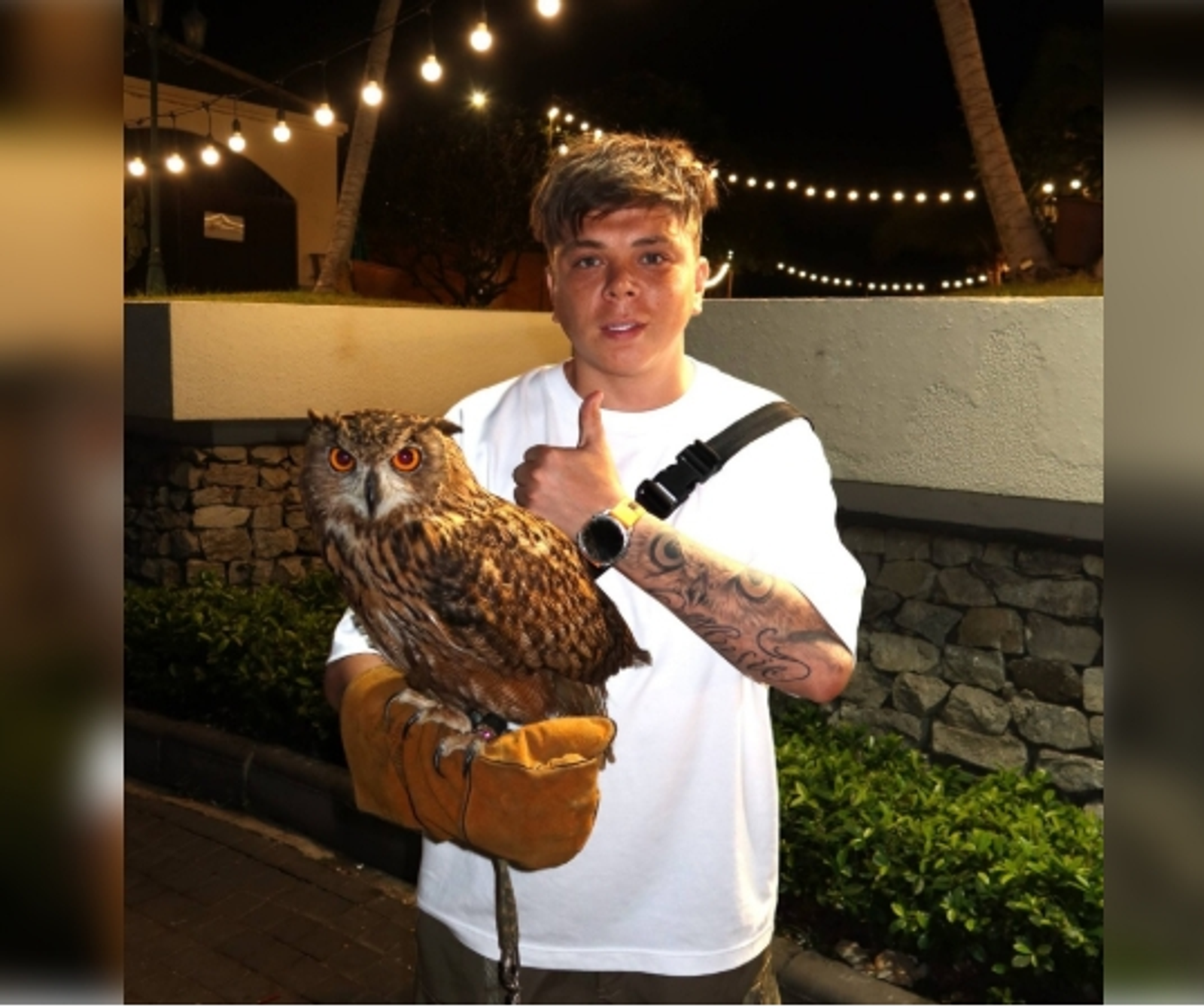 Элвин Грей талисман көсөнә ышана