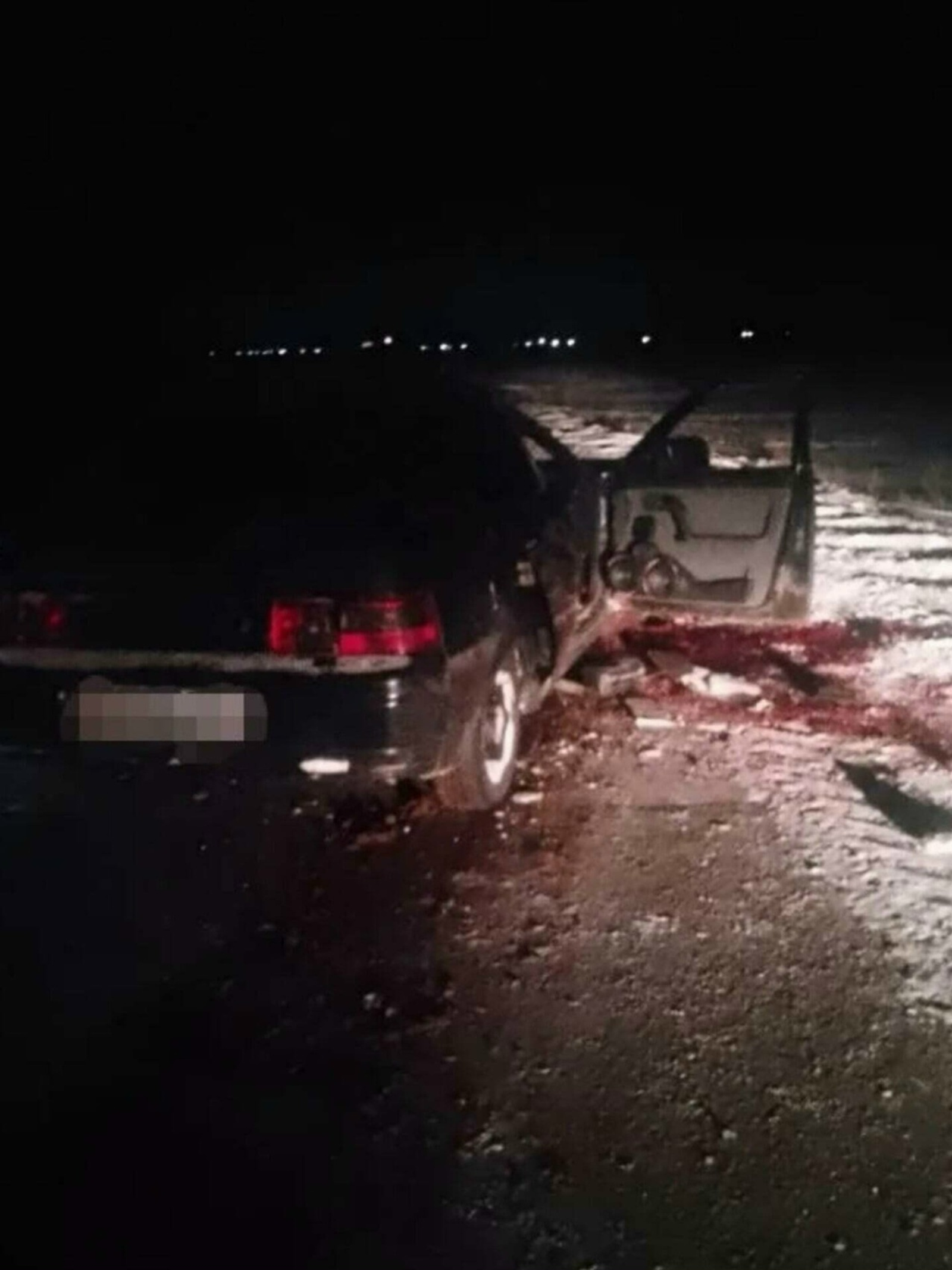 Водителме, әллә ат хужаһы  ғәйеплеме?