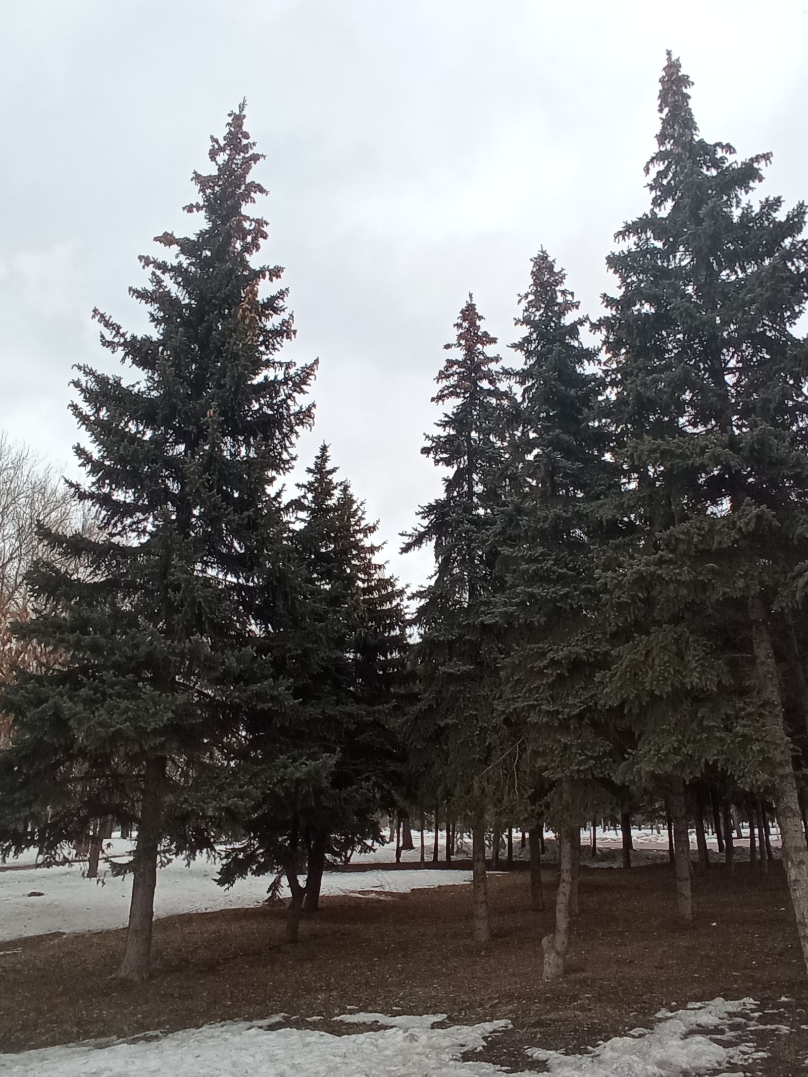 Яҙ ҙа етер...