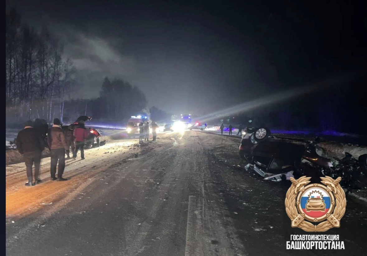 Ҡот осҡос фажиғә!