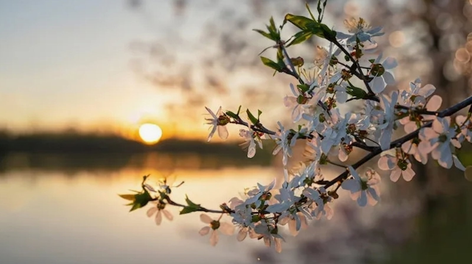 Март һәм апрелдә Башҡортостанда йәшәүселәрҙе аномаль көндәр көтә