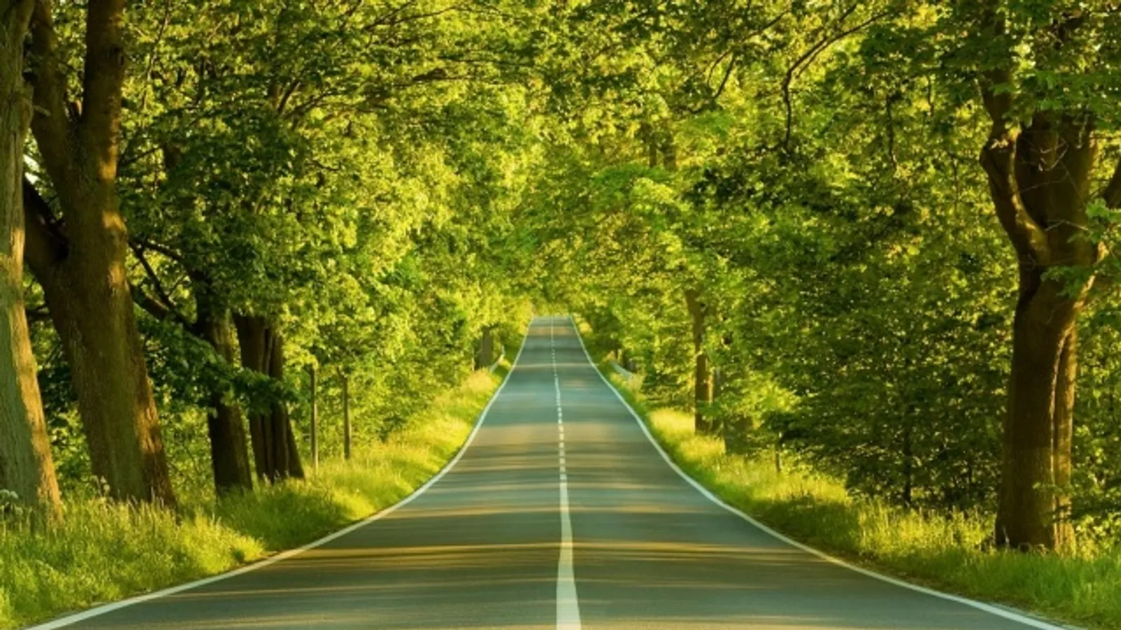 Оҙата барған йыр (Хикәйә)