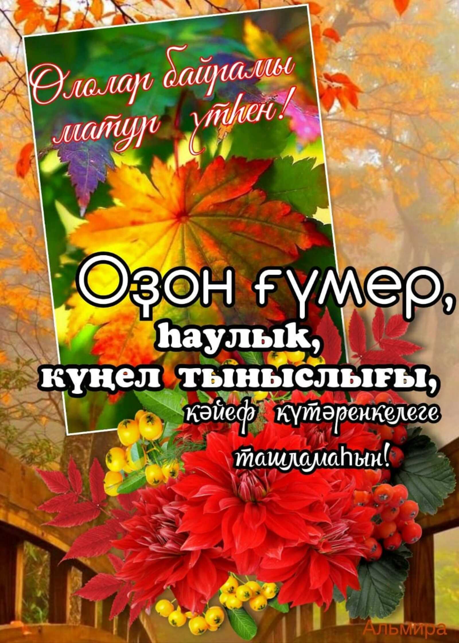 Оло йәштәгеләр көнө менән
