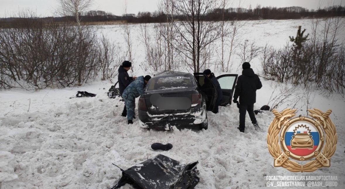 Ҡот осҡос фажиғә...