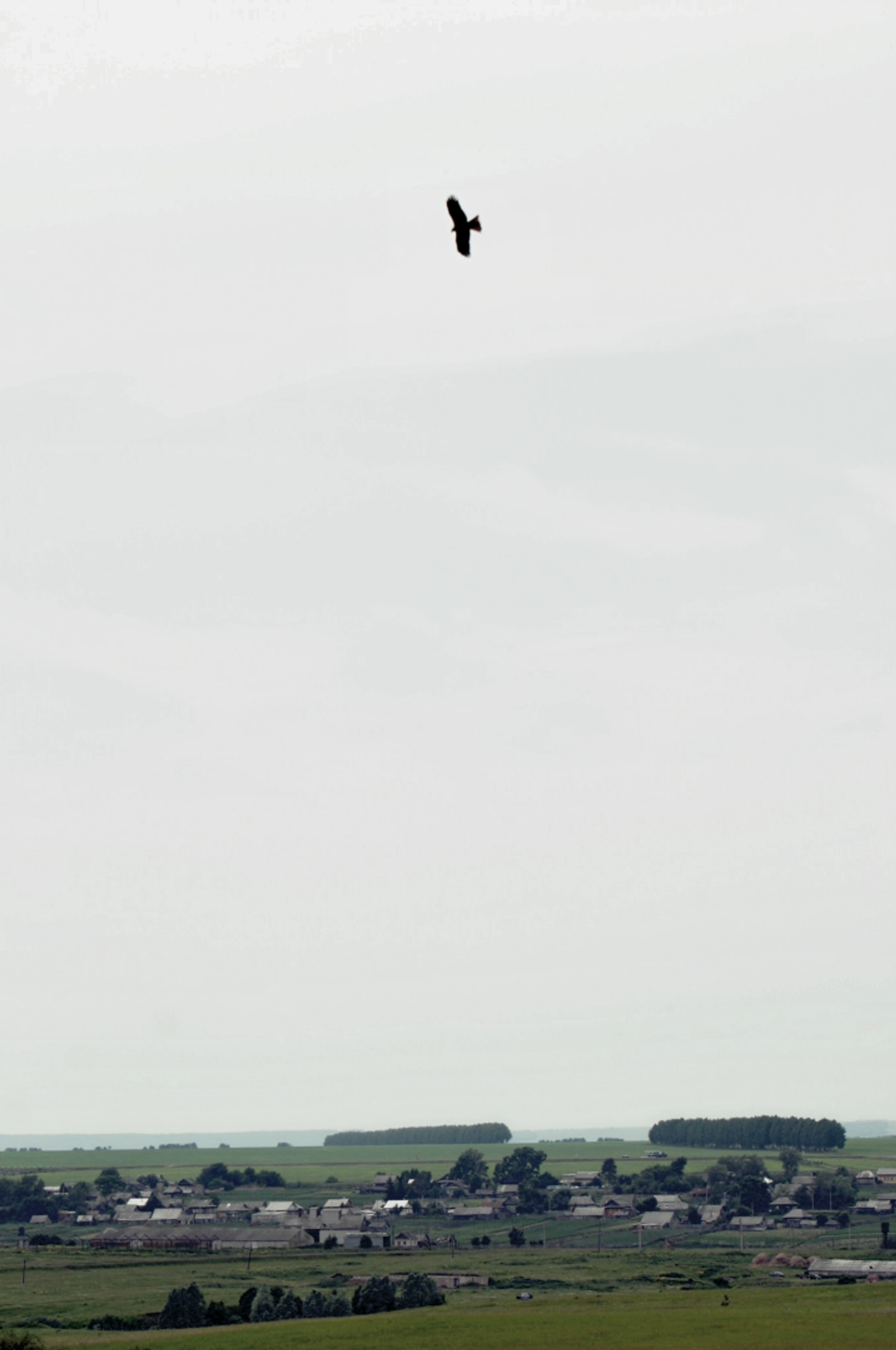 Эй бөркөтөм...