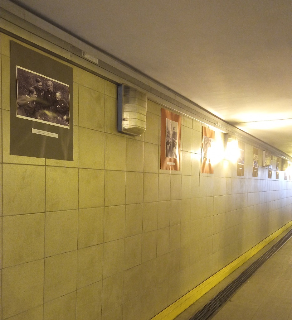 Ер аҫтында... тотош бер күргәҙмә!