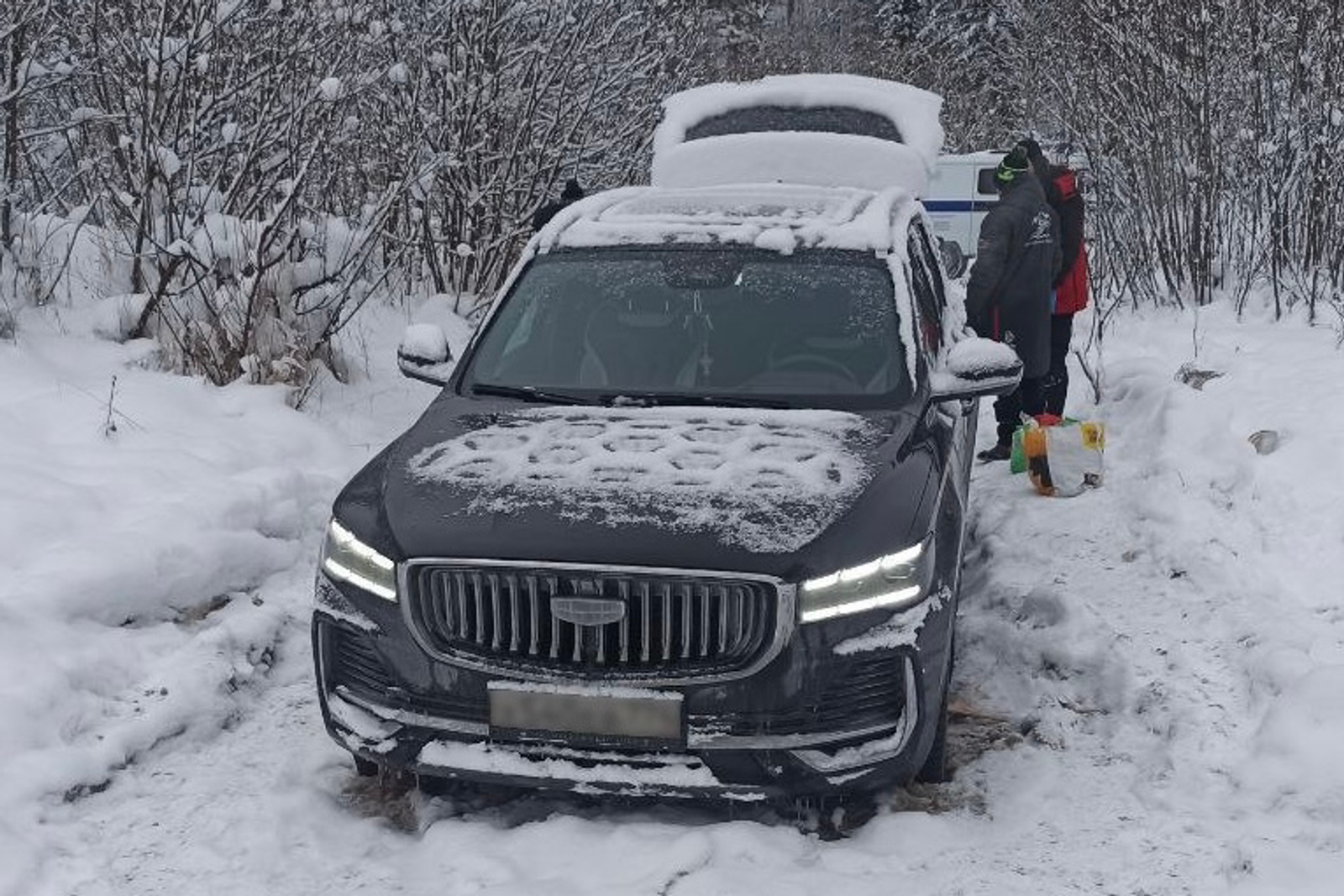 Яңы йылды урманда ҡаршылағандар