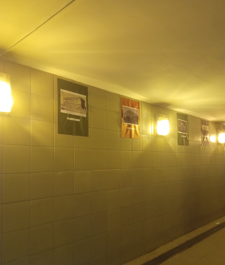 Ер аҫтында... тотош бер күргәҙмә!