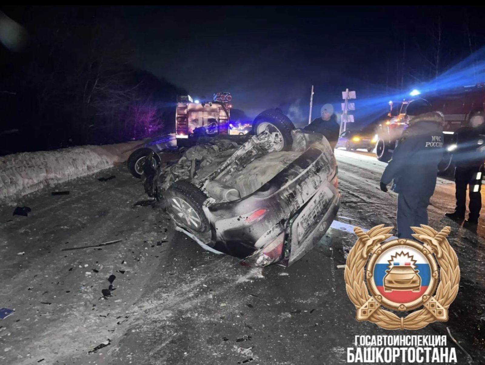 Ҡот осҡос фажиғә!